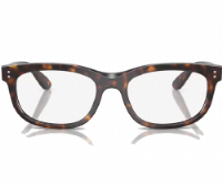 Ray-Ban Balorette Optics